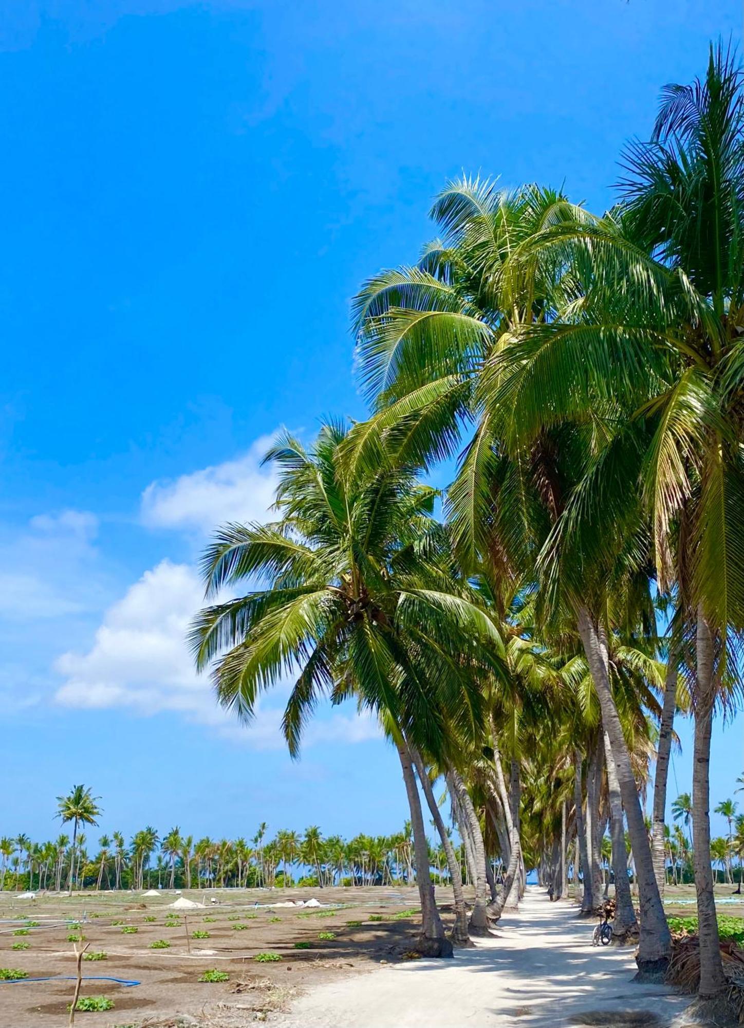 מלון טאודו Sorenzo Maldives מראה חיצוני תמונה